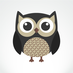 NightOwl