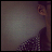 dreamtestt
