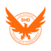 VvLin61