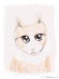 aboocat