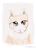 aboocat