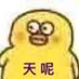 zenze