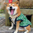 fangfangtu