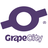 GrapeCity