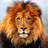 leo1989
