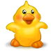 duckHere