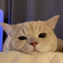 Qsaka