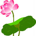 xiyangdujin