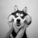 rocplus