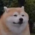 vynkicc