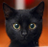 catplus