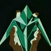 MrCoda