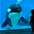 killerwhale