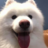 commendX