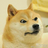 dongbiren001