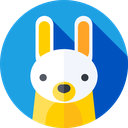 iilxy