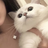 panxiao