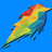 speedbird