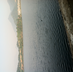 zhifeng