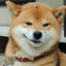 rooz
