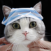 dearneo
