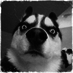CoderHugo