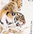 pandanrain123