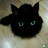nightcat