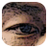 ZoomQuiet