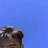 lutao2018