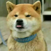 Aar0nFr4nk