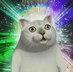 luminousNcc