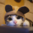 whatanoob