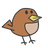 DoraYao