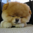 PrinSoul