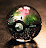 plusect
