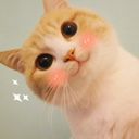 TIANWAIFEIMAO