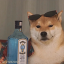 bo233