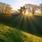 sunshinemind
