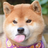 qianProgrammer