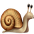 Snail5956