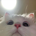 pupuwu