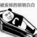 zyy455078389