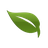 wutongr