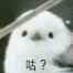 qqhaodong