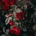 tulipgod