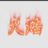 SSyang