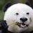 youmeng