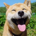 SillyChenBrother