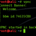 IPSec